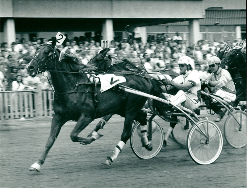 Jan-Erik Eriksson med hästen Pale Amber - Vintage Photograph