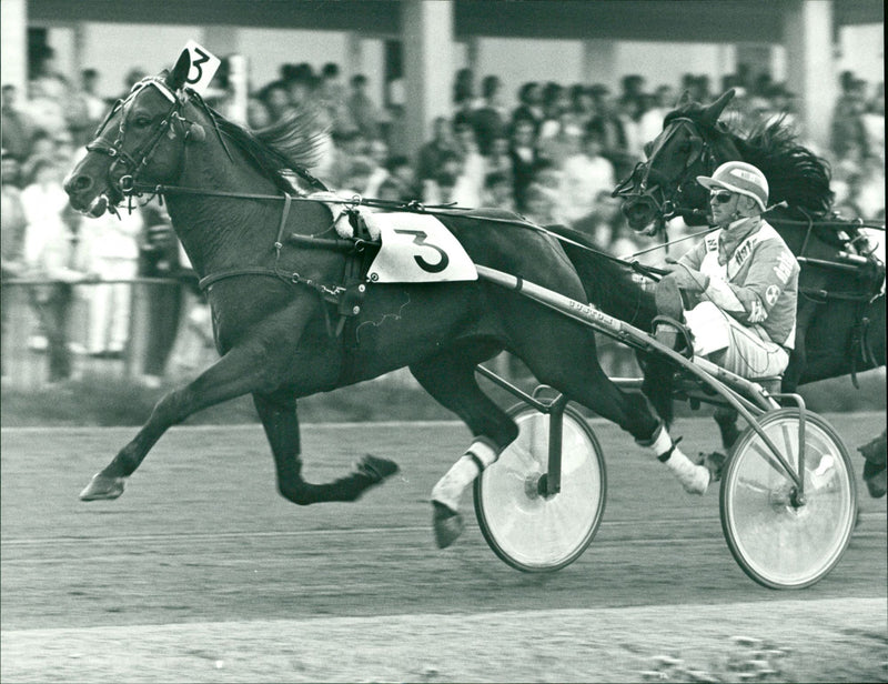 Jan-Erik Eriksson med hästen Goldhorse - Vintage Photograph