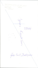 Musician Jonas Knutsson - Vintage Photograph