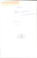 Henrik Andersson, TK Vildmannen - Vintage Photograph