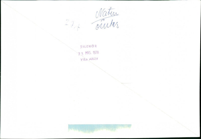 1978 ARSTIDES WINES MRS OUTER ARCHIVE BELONG TO NATURE - Vintage Photograph