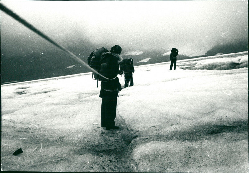 1978 ARSTIDES WINES MRS OUTER ARCHIVE BELONG TO NATURE - Vintage Photograph
