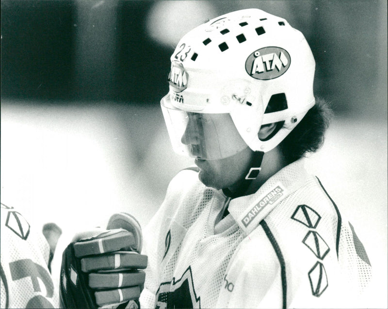 Roger Hägglund, Björklöven - Vintage Photograph