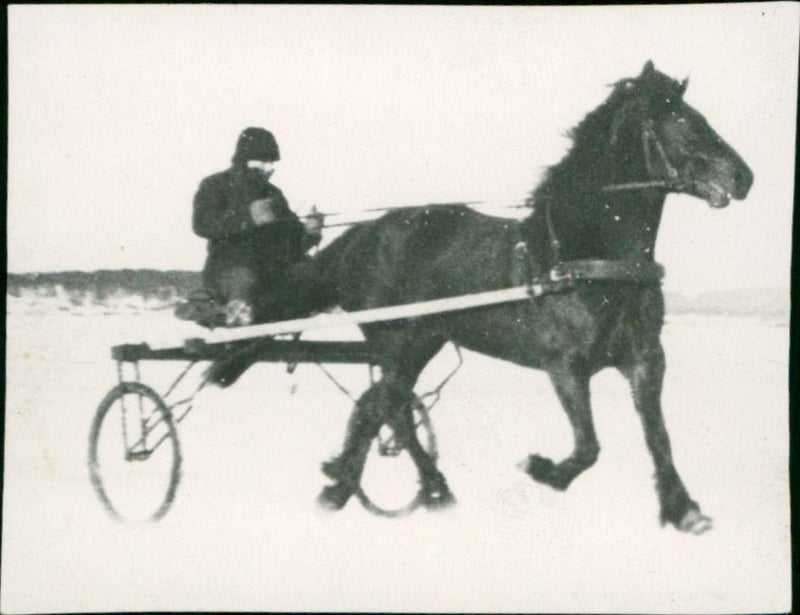 Harness Racing - Vintage Photograph