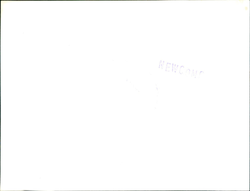 John Newcombe - Vintage Photograph