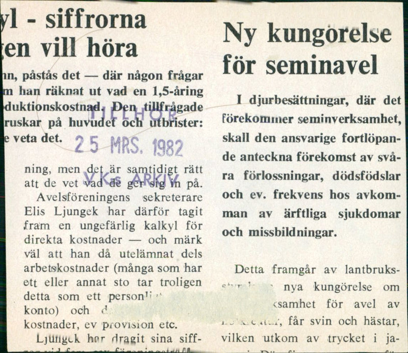 1982 TRAVHASTAR BUT AWARDED RESPONSIBLE SHAVED POSSIBLY CONTINUE DISEASES SEMINA - Vintage Photograph