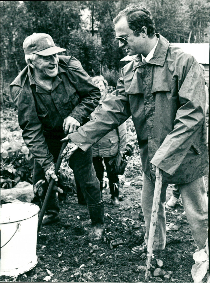 King Carl Gustaf in the potato tray in Ammarnäs together with Georg Grundström - Vintage Photograph