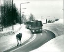 1988 TRAFFIC ANIMALS TRAFFICS MRS OUCHON ALA LARS ARKIV JOHANSSON MOT FOTO VKS - Vintage Photograph