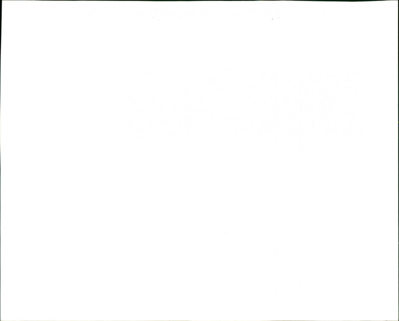 APLINT INTERNATIONAL ANDY POET - Vintage Photograph