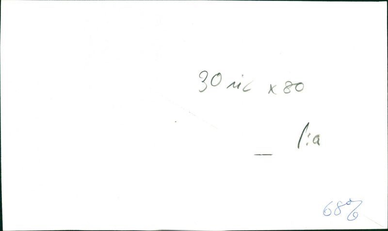 CONTINUE COMMUNITY WANNA - Vintage Photograph