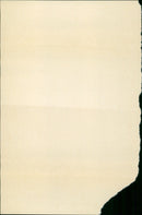 - Vintage Photograph