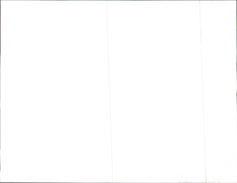 Opel Kapitän - Vintage Photograph