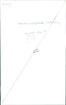 baroque Music Festival - Vintage Photograph