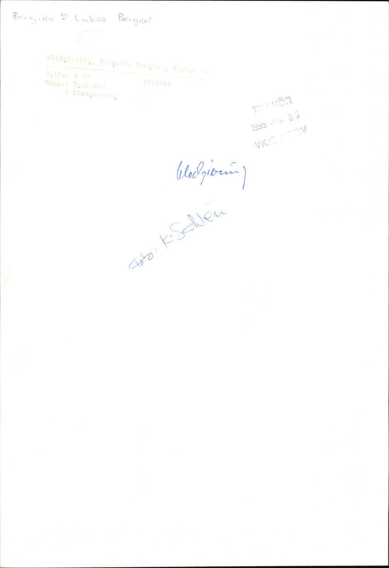 1995 NURSE BLOODING MAPPA BLOODGATING SUN BERGNER TOTO BENIN BIRGITTA LUKAS HALL - Vintage Photograph