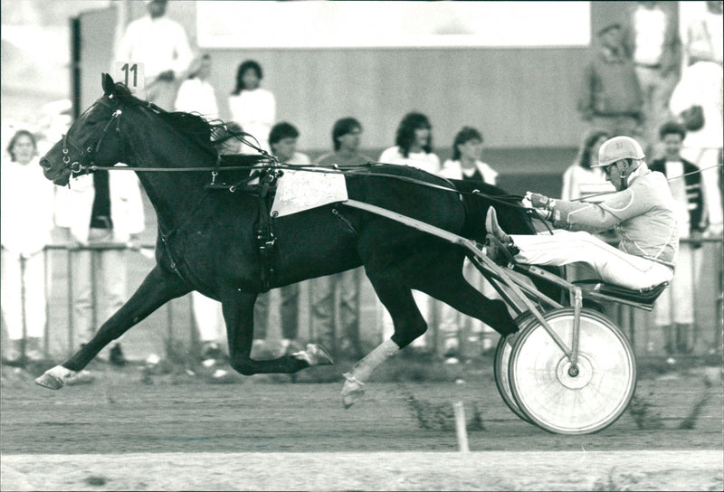 Berth Johansson - Vintage Photograph