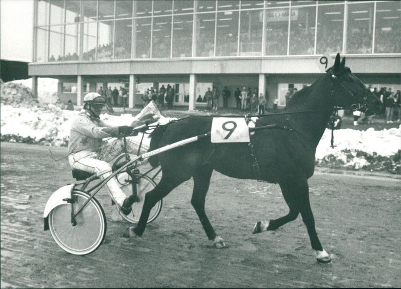 Berth Johansson - Vintage Photograph