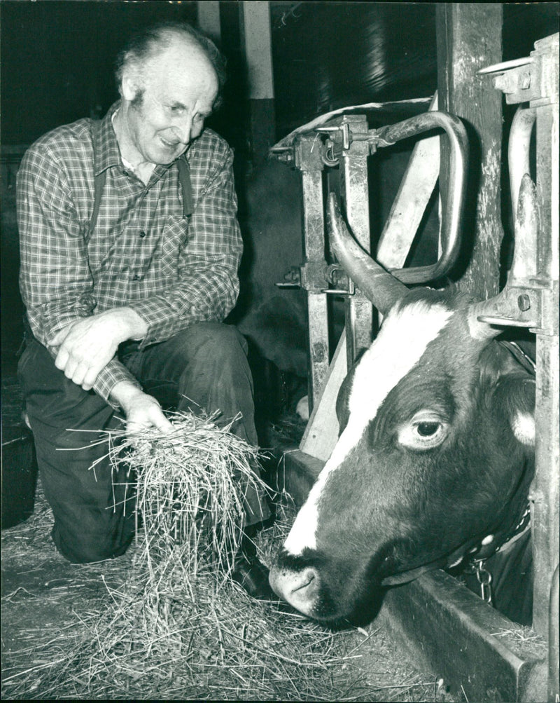 Gustav-Adolf Bäckman - Vintage Photograph