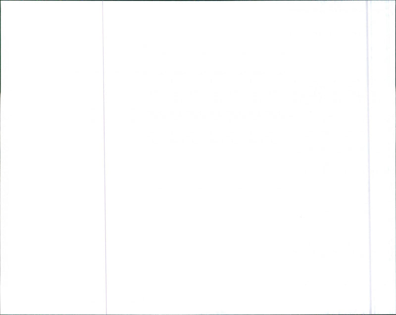 1986 Lancia Delta HF Turbo - Vintage Photograph