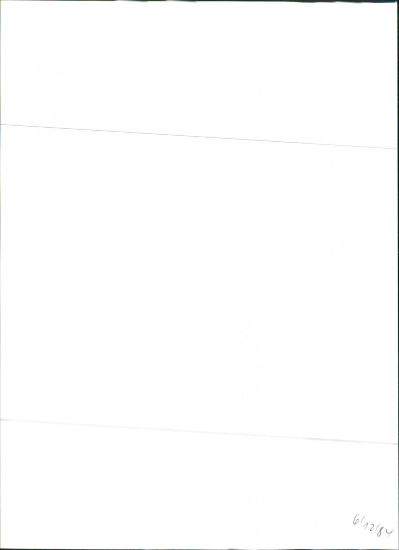 A view of rear side of the Regata Weekend car. - Vintage Photograph