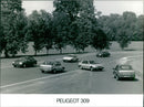 Peugeot 309 - Vintage Photograph
