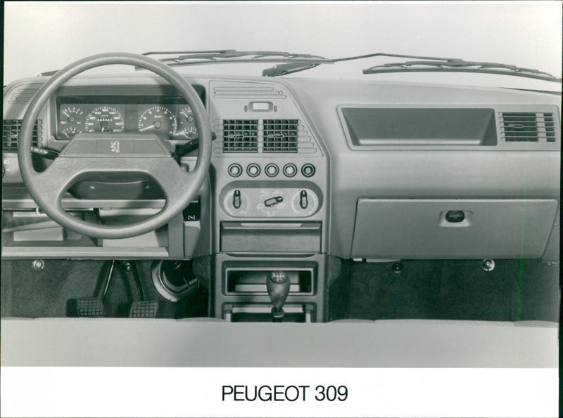 Peugeot 309 - Vintage Photograph