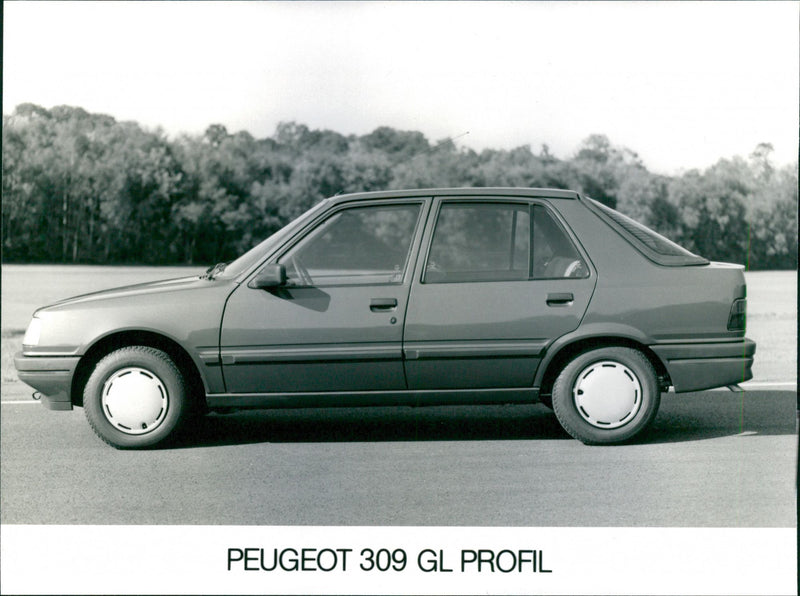 Peugeot 309 GL Profil - Vintage Photograph