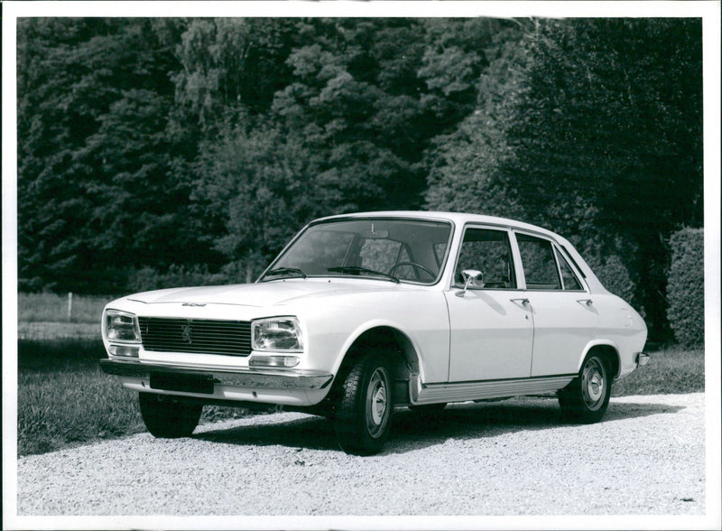 Peugeot 504 - Vintage Photograph