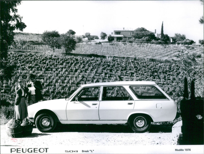 Peugeot 504 Break L 1976 - Vintage Photograph