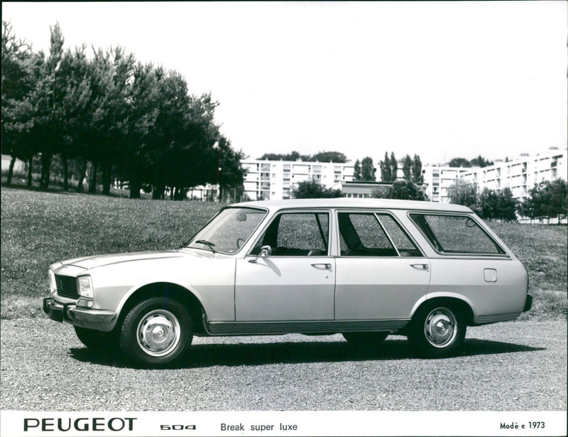 Peugeot 504 Break 1973 - Vintage Photograph