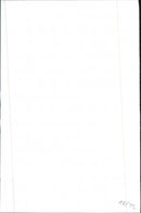 Fiat 132 - Vintage Photograph