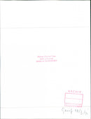 Alpine Renault A310 - Vintage Photograph