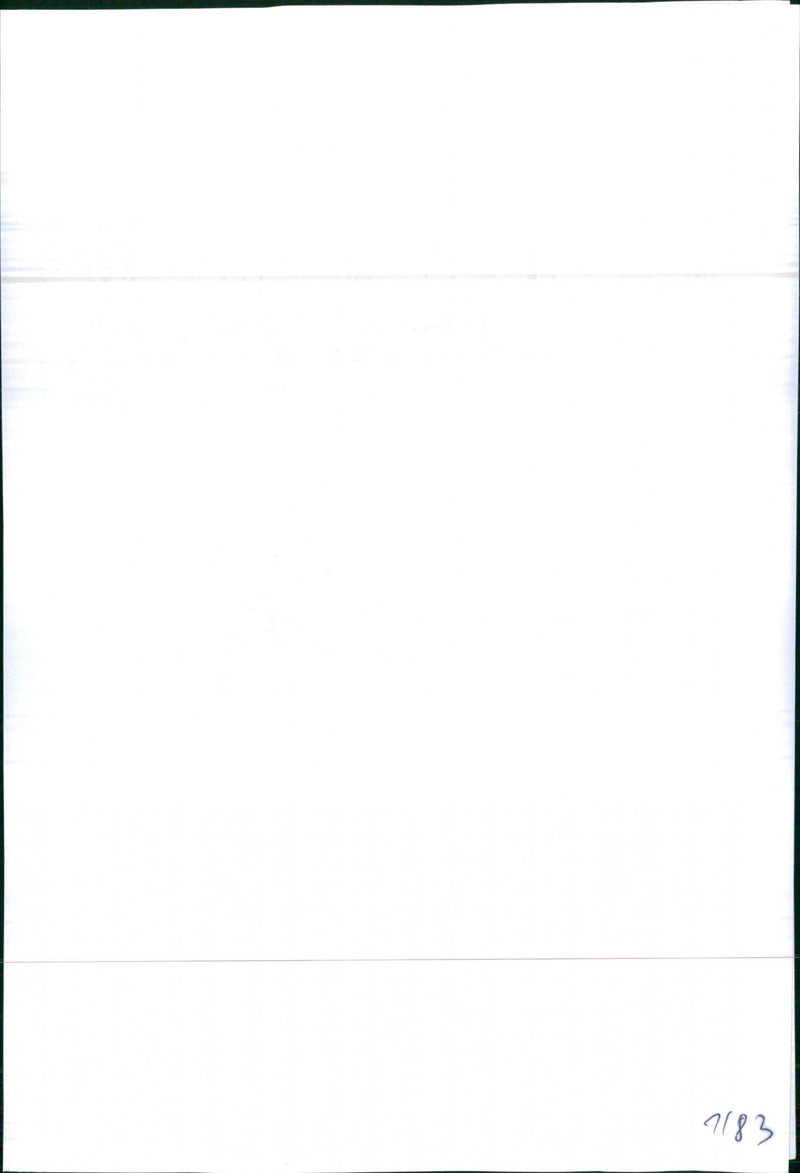 Toyota Camry Limousine - Vintage Photograph