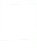 Rover 'Viking Ship' badges - Vintage Photograph