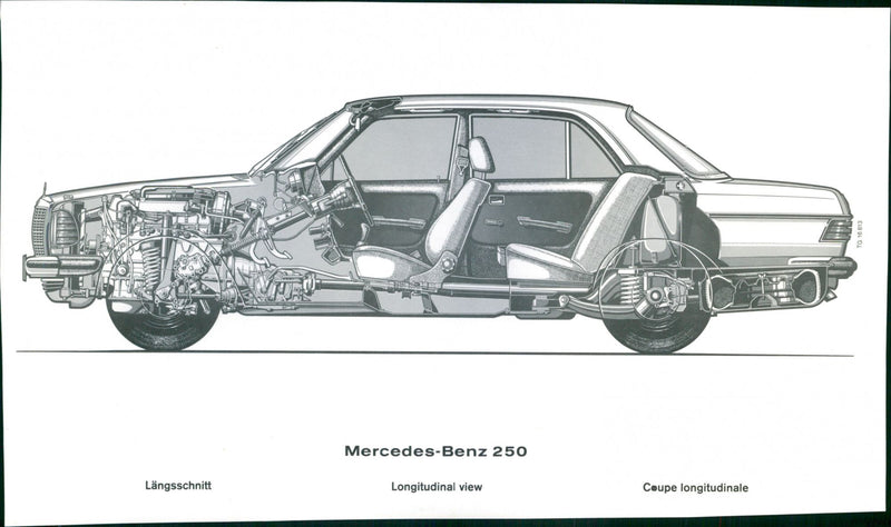 Mercedes-Benz 250 - Vintage Photograph