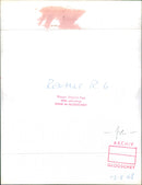 Renault R6 - Vintage Photograph