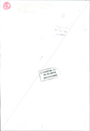 Lili and Susie, concert Universe - Vintage Photograph