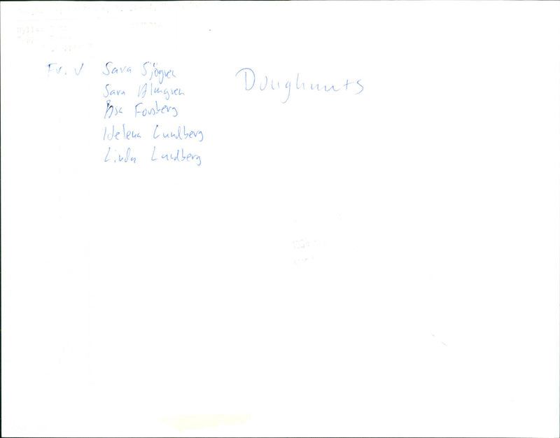 Donuts, music group - Vintage Photograph