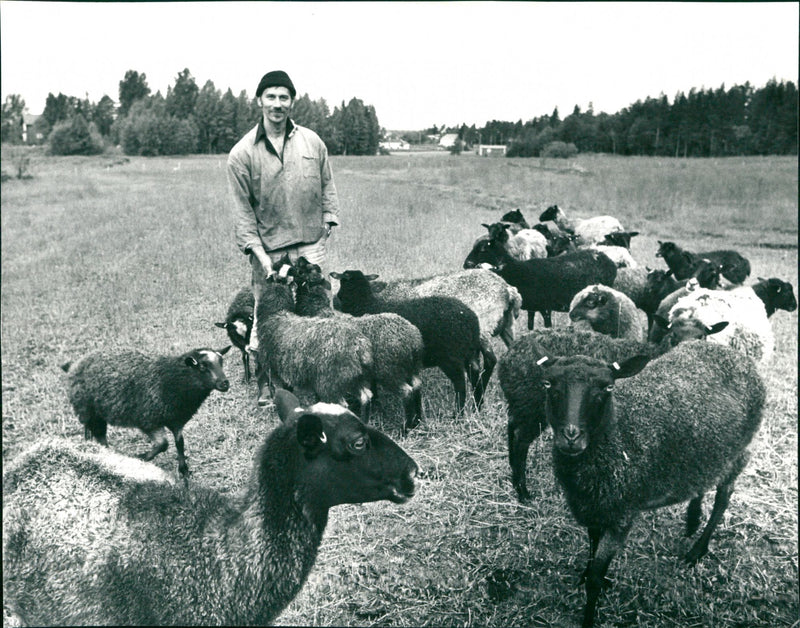 ANIMALS GETTS MKS RABEN FARMER FOLDER BERGGREN TILLOR SHELF HOL PALS ROLAND - Vintage Photograph