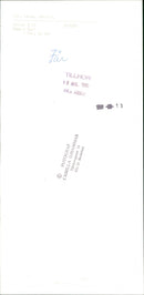 1990 ANIMALS GETTS PHOTOGRAPH INDICATE VKB FATHER TJARHOVSGATAN - Vintage Photograph