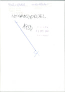 1950 MODE CLADER DOWN BELT FASHION MPS DEPP BROTHEL UNDERCARRIAG CONCERT - Vintage Photograph