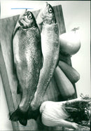 1923 ACQUAINTANCE ANIMALS GSLAX VARNISHED THERE FISHES MAJ NOW AVAILABLE TIELHO - Vintage Photograph
