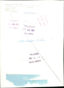 1978 ANIMALS CATS SHELF TOHO ASHON ARCHIVE RUNES POLO MIRIAM ARCIVE FOLDER AVAILAB - Vintage Photograph