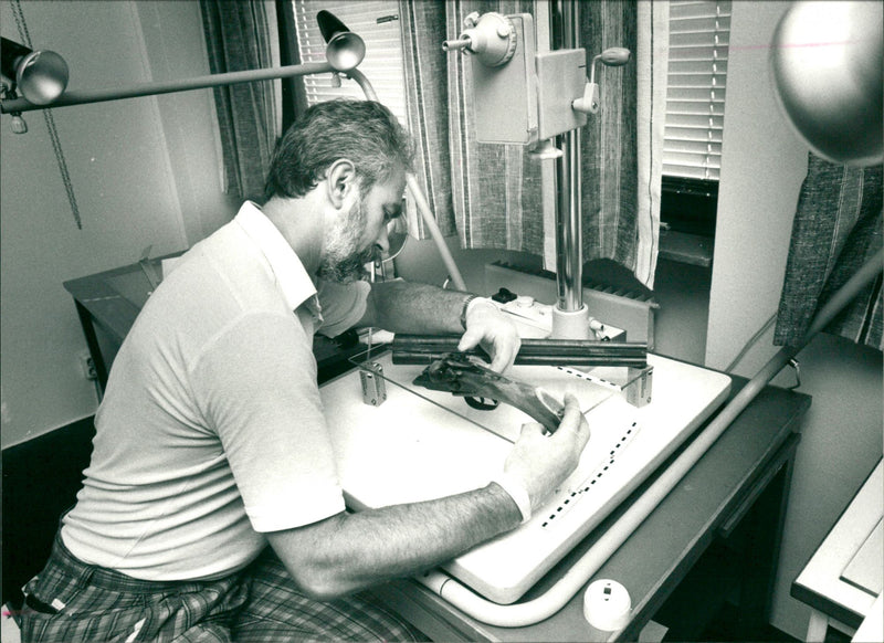 1988 TRIPLE UNDERSACRIFICES JULY ARCHIVE ARVIDSSON MURDER INVESTIGATE ROTH - Vintage Photograph