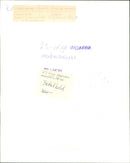 1988 TRIPLE HEMMIS AND CIRIGE BANNO MURDER MISTHOUGHT CRIME ARIGE MURDER SUSPECT - Vintage Photograph