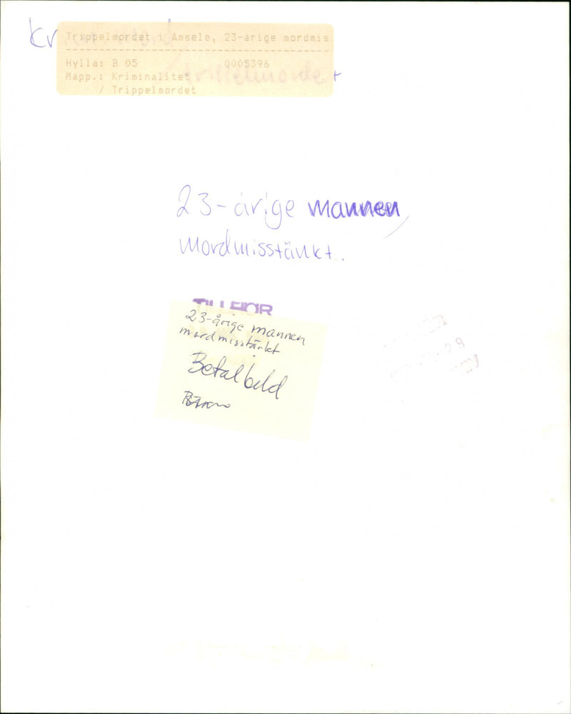 1988 TRIPLE HEMMIS AND CIRIGE BANNO MURDER MISTHOUGHT CRIME ARIGE MURDER SUSPECT - Vintage Photograph