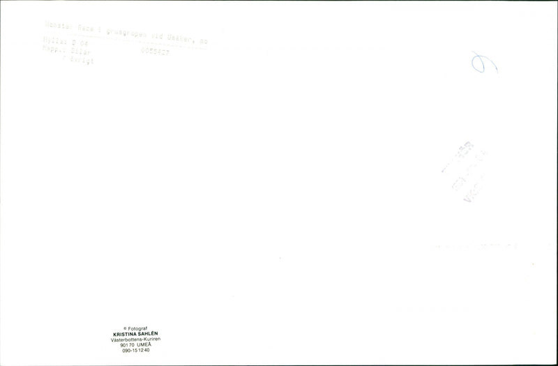 Monster Race - Vintage Photograph