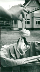 1982 ANIMALS HUNDS OVARY ARCHIVE BEAUNA DUNDBARS AVAILABLE - Vintage Photograph