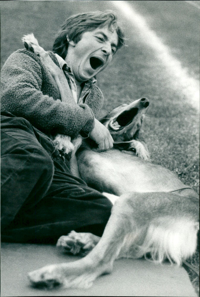 1983 ANIMALS HUNDS OVARY SUUN DOGS SHELF WERRE SALUKI TILLO UNRULY VAUUR SAIDAN - Vintage Photograph