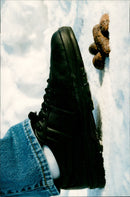 1995 ANIMALS HUNDS OVARY TRANE MAPPA TISSIT DOGS ARKN PER ARCHIVE FOUND PHOTO LOST - Vintage Photograph