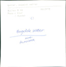 ANIMALS DOG SETTER GETTER SETS ENGLISH FOLDER - Vintage Photograph